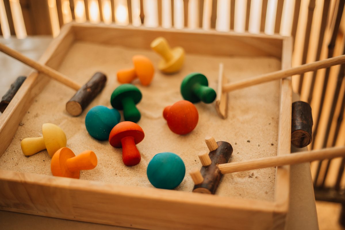 Naturalist's Sand Kit