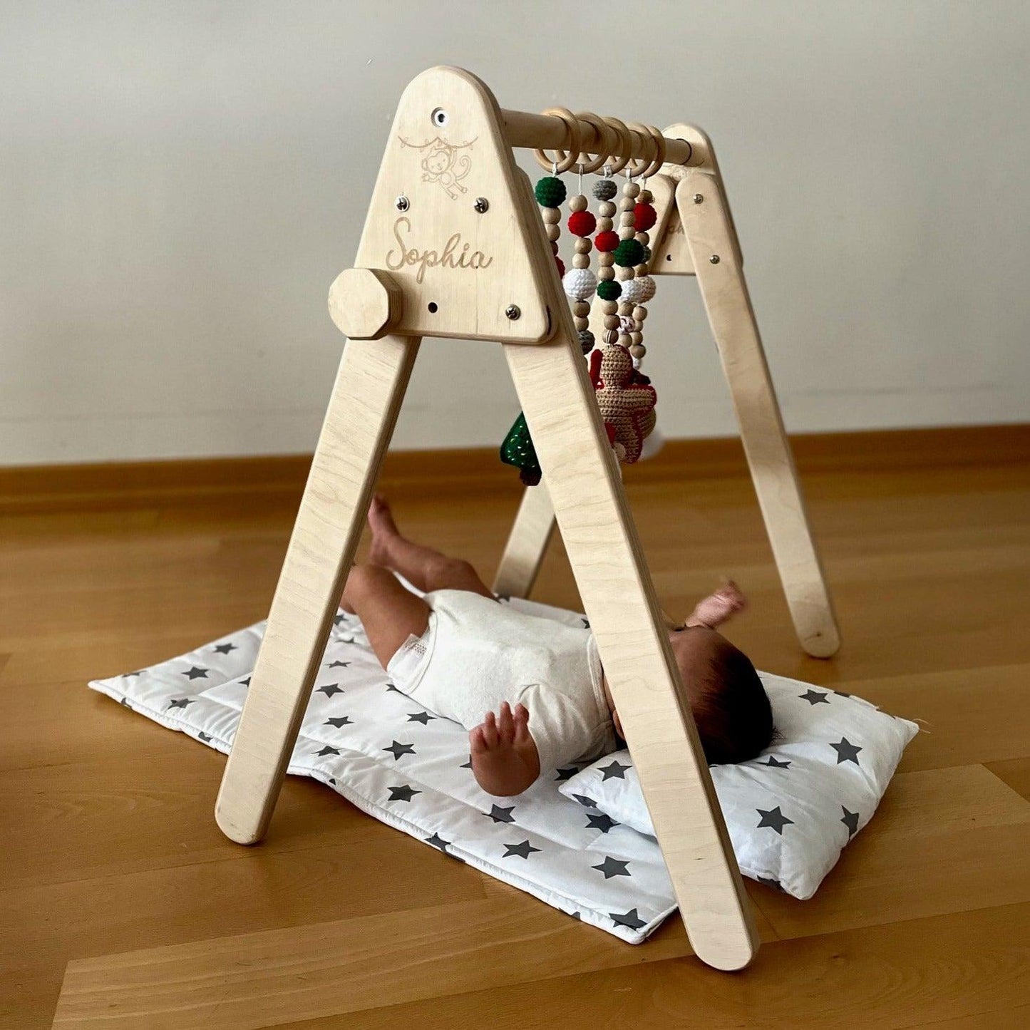 Dreamer’s Montessori Play Gym