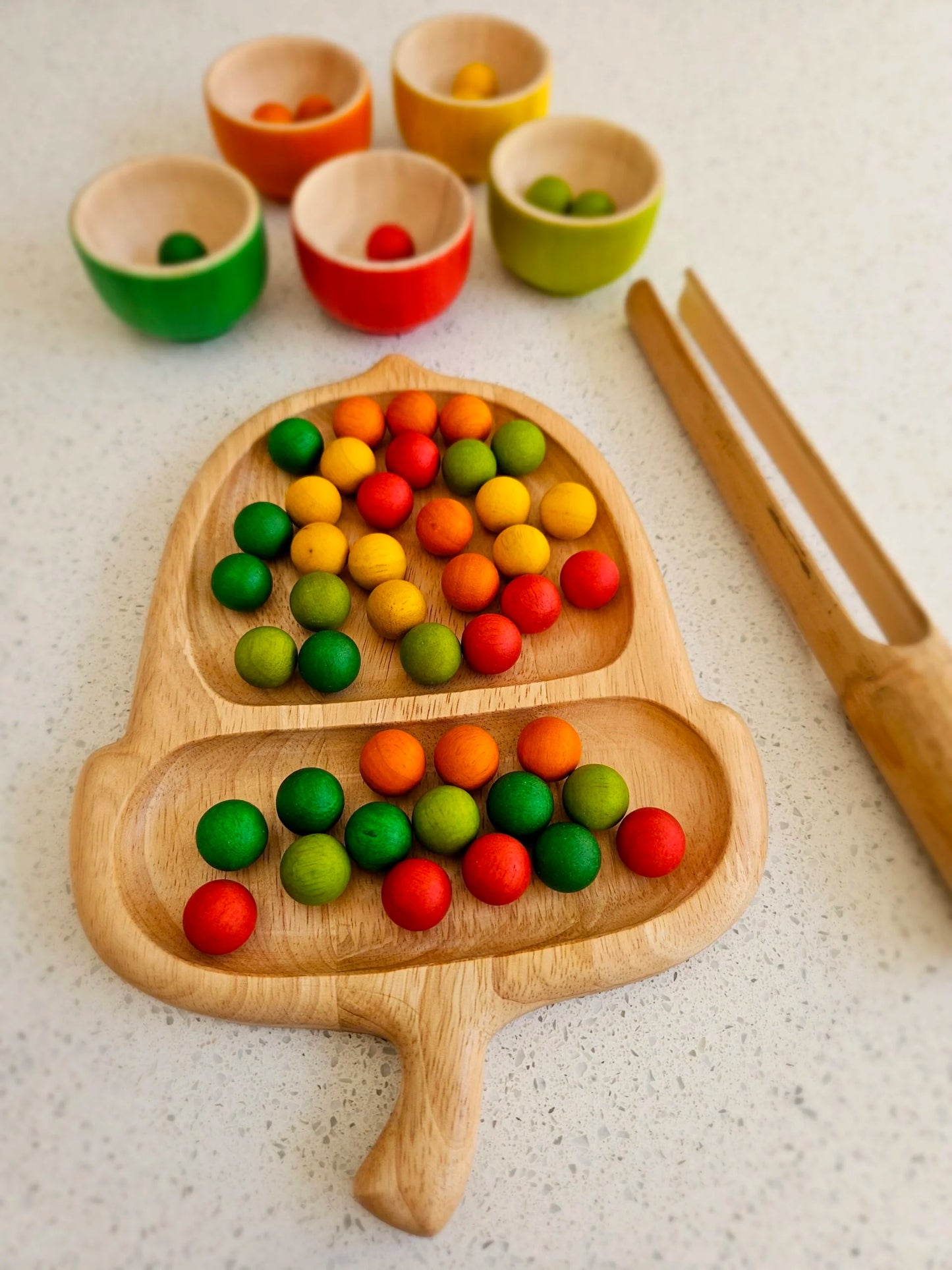 Architect's Acorn Sorting Tray