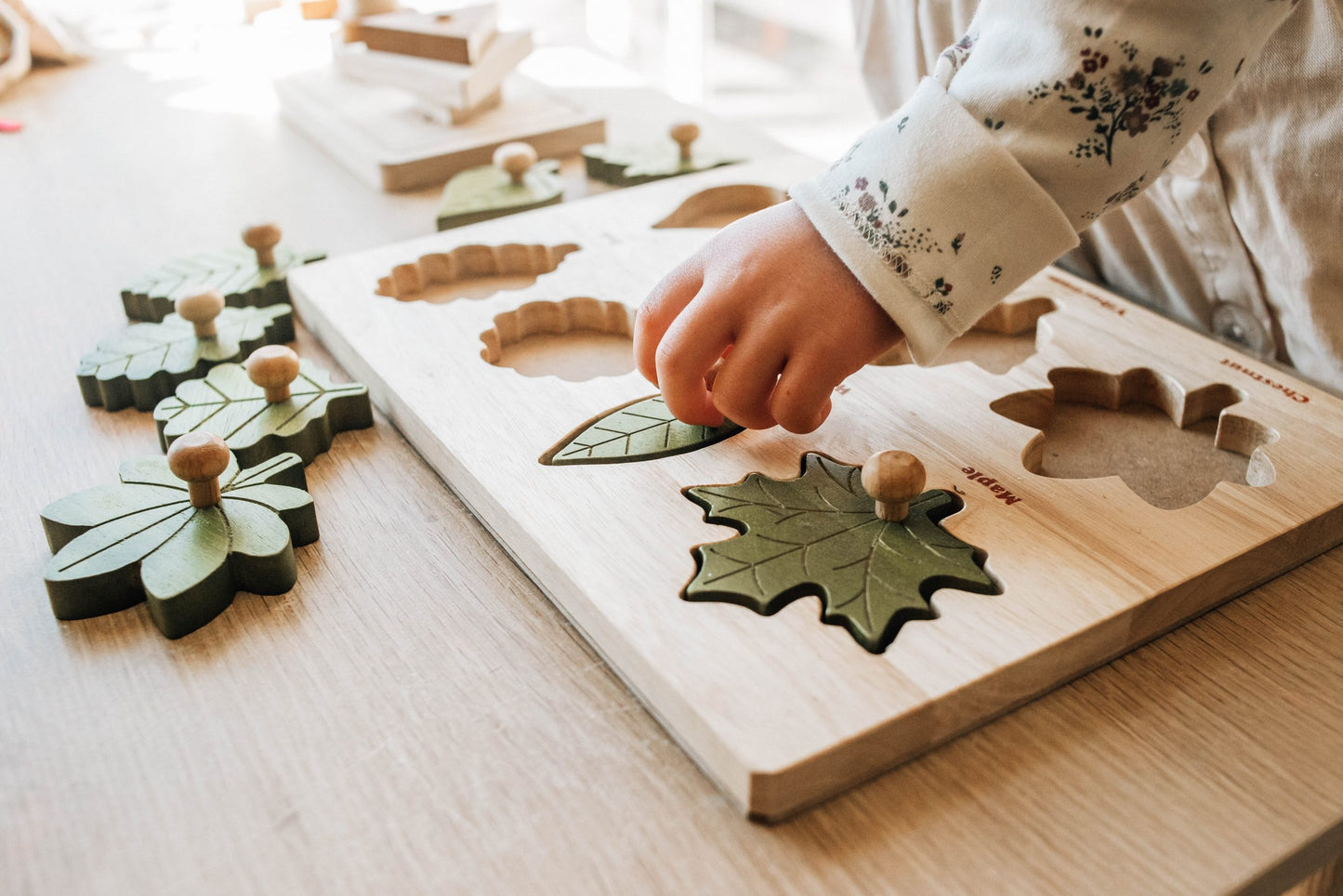 Naturalist's Leaf Puzzle