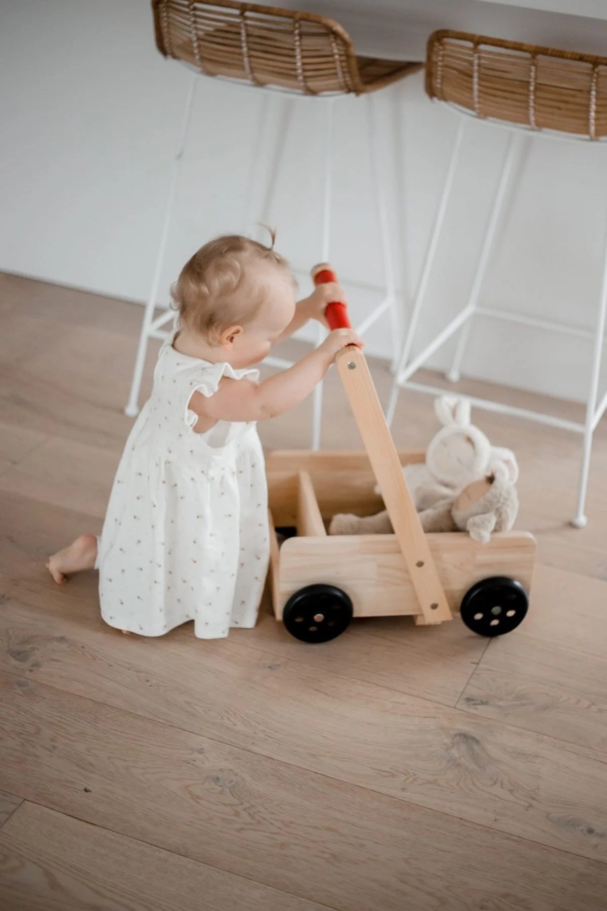 Explorer’s First Steps – Baby Walker