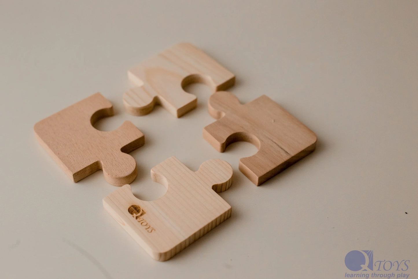 Explorer’s Discovery Puzzle