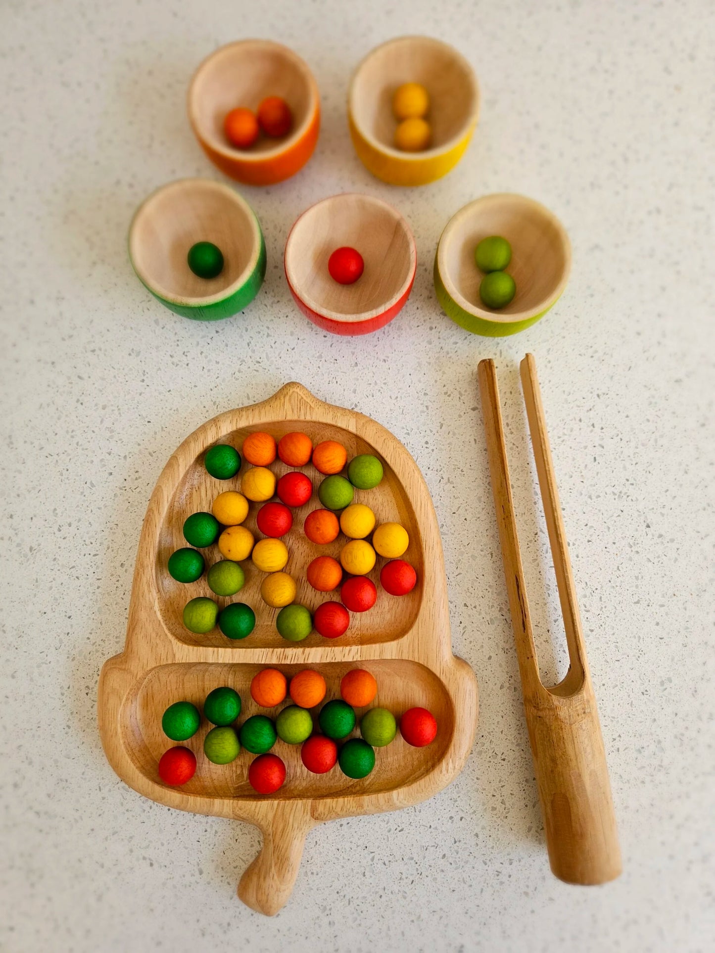 Architect's Acorn Sorting Tray