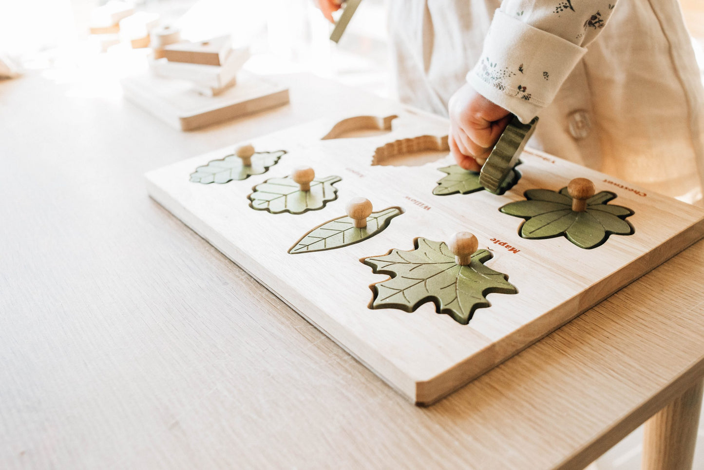 Naturalist's Leaf Puzzle