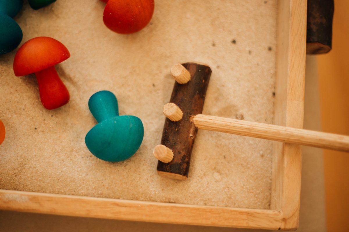 Naturalist's Sand Kit