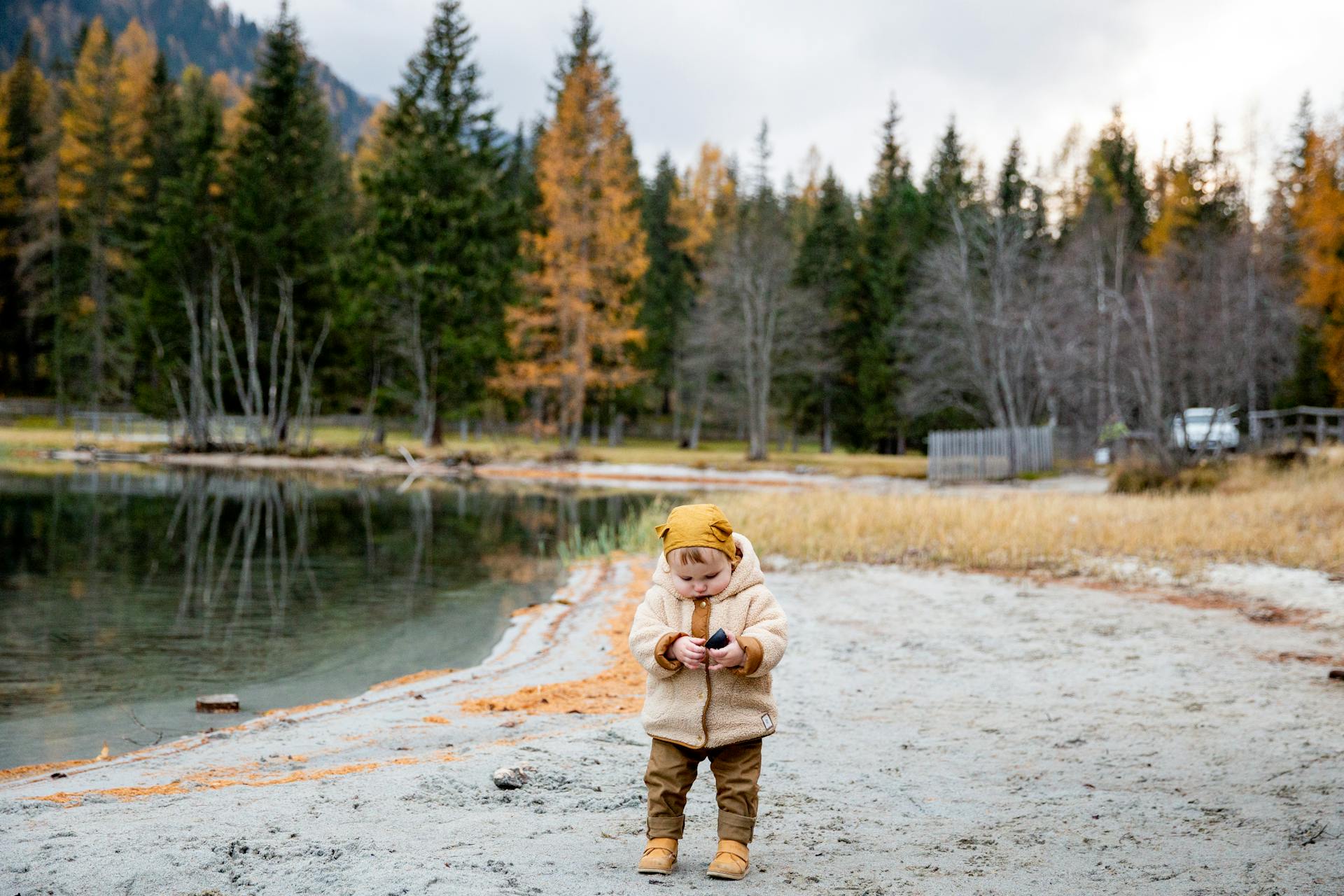 Naturalist