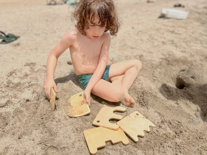 Engineer's Sand Tool Kit