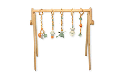 Dreamer’s Montessori Play Gym