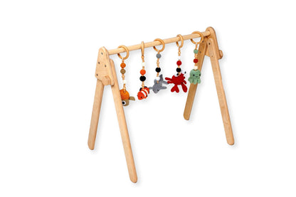 Dreamer’s Montessori Play Gym
