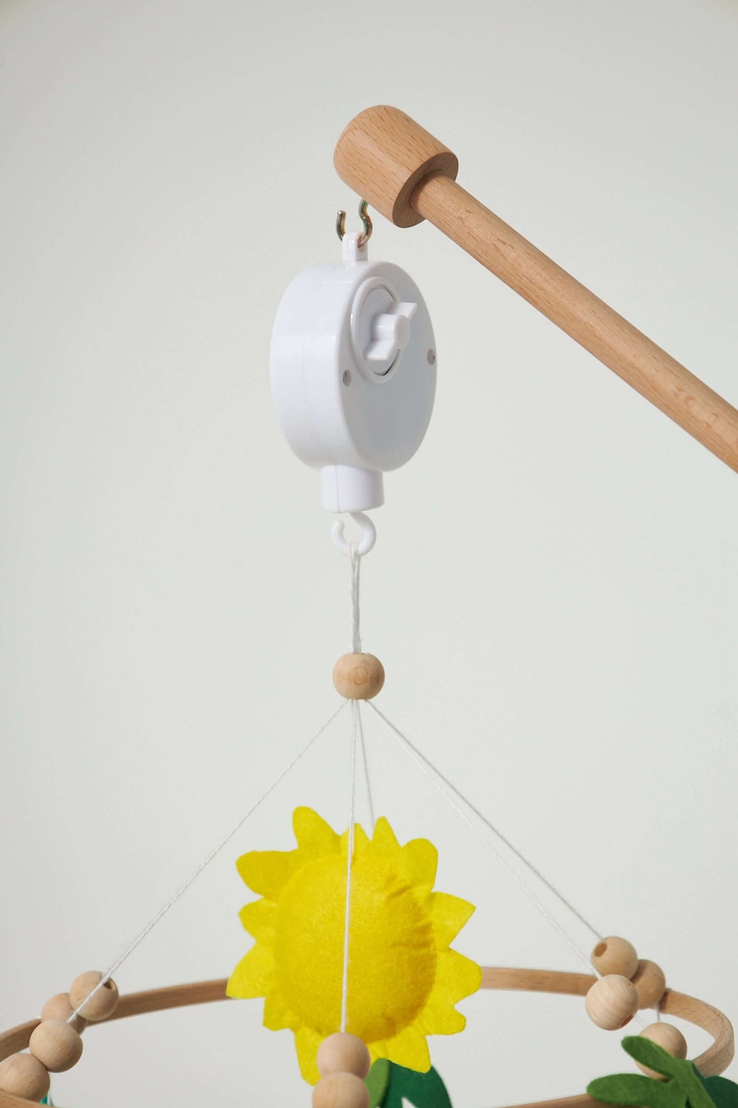 Dreamer's Safari Mobile