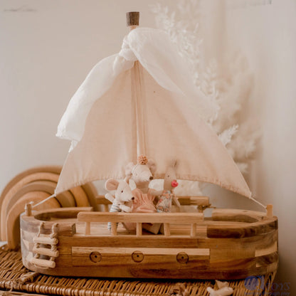 Explorer's Adventure Ship