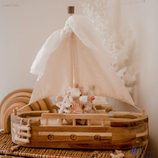 Explorer's Adventure Ship