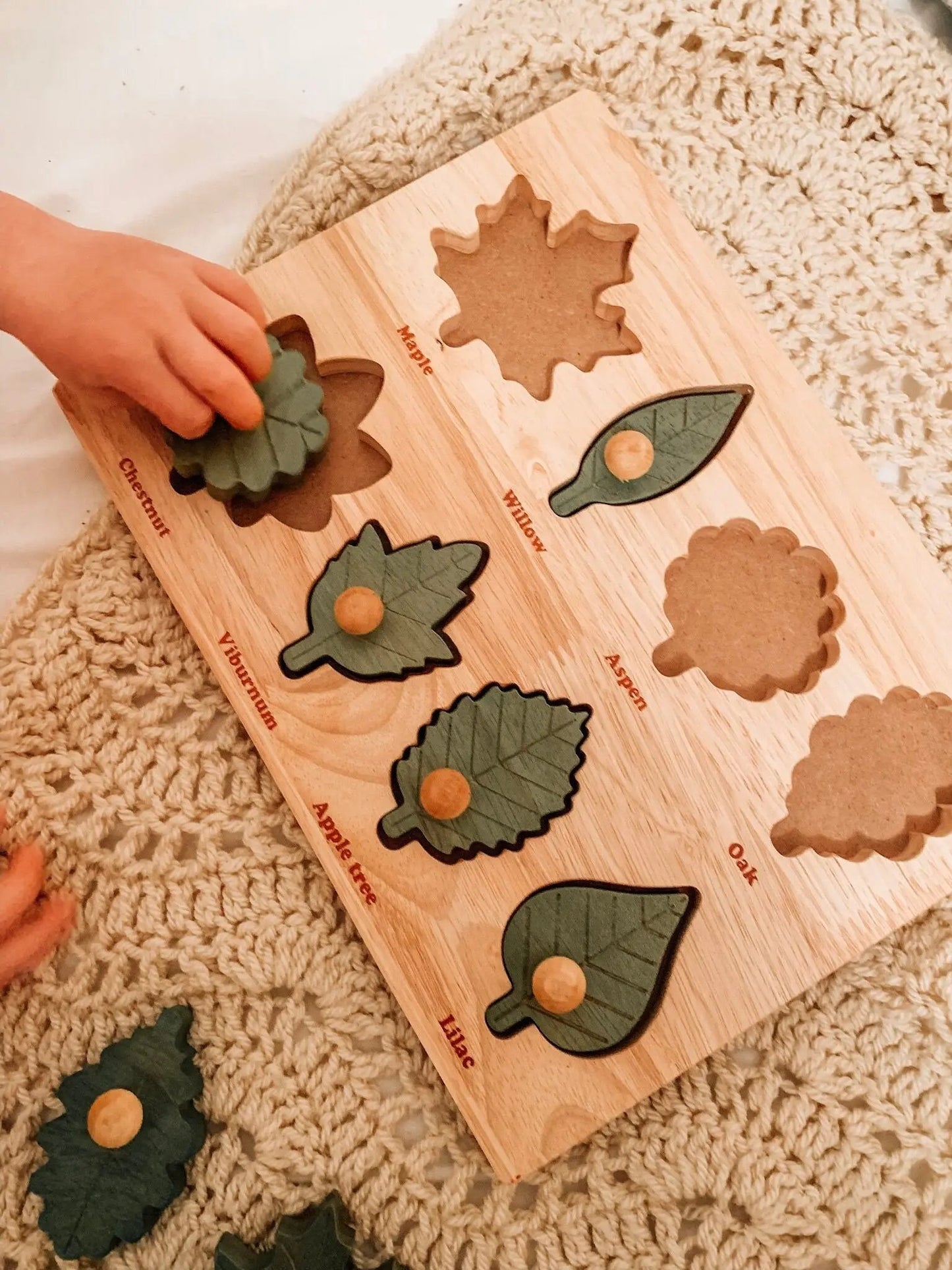 Naturalist's Leaf Puzzle
