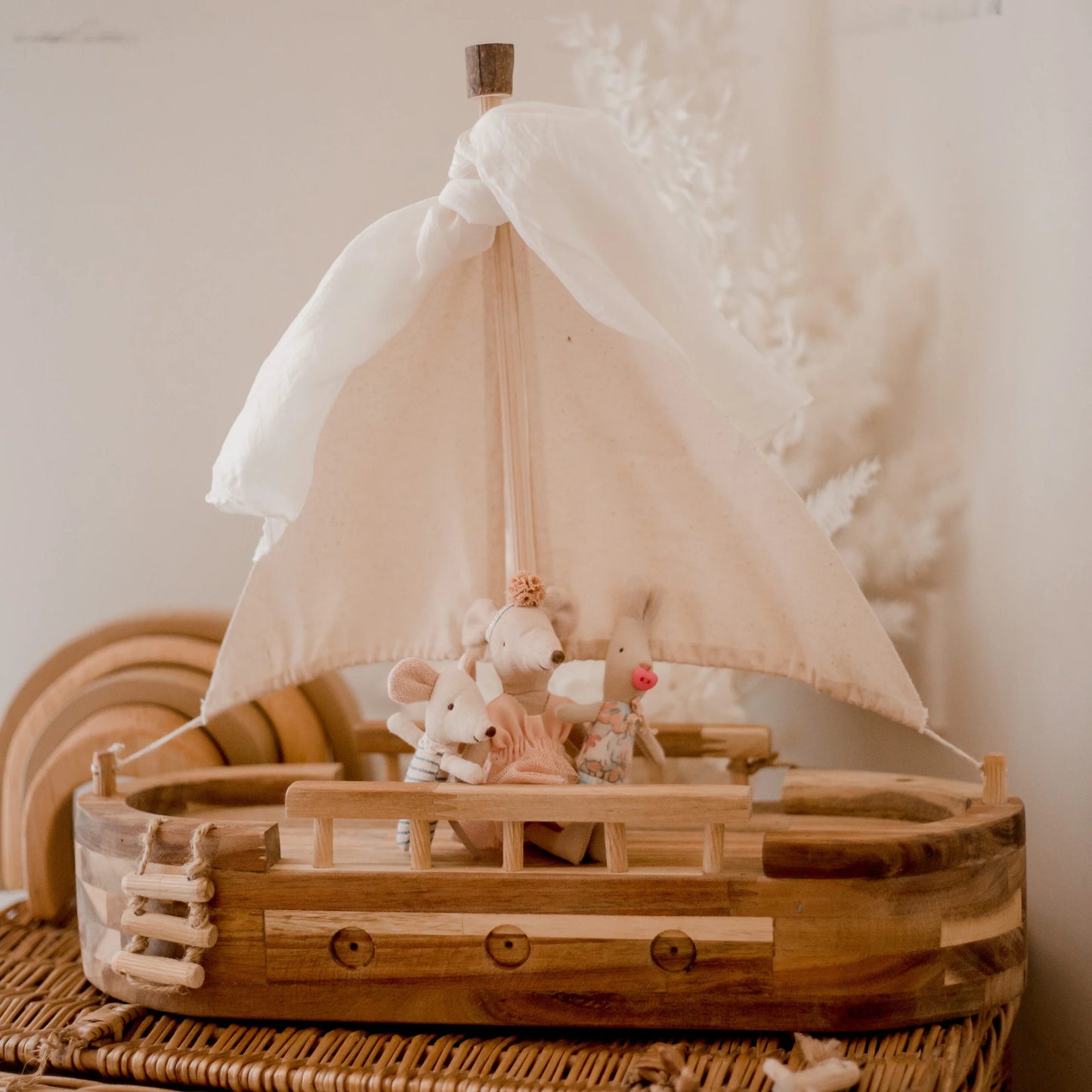 Explorer's Adventure Ship