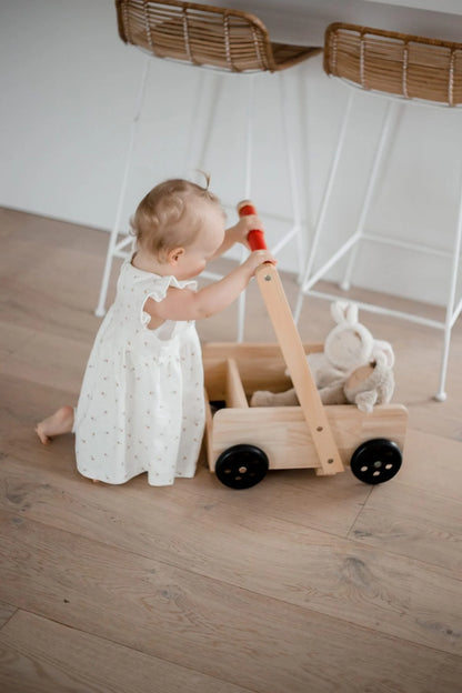 Explorer’s First Steps – Baby Walker