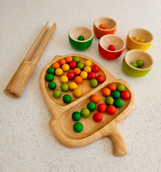 Architect's Acorn Sorting Tray