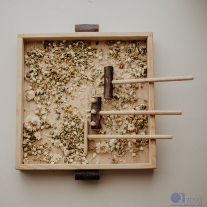 Naturalist's Sand Kit