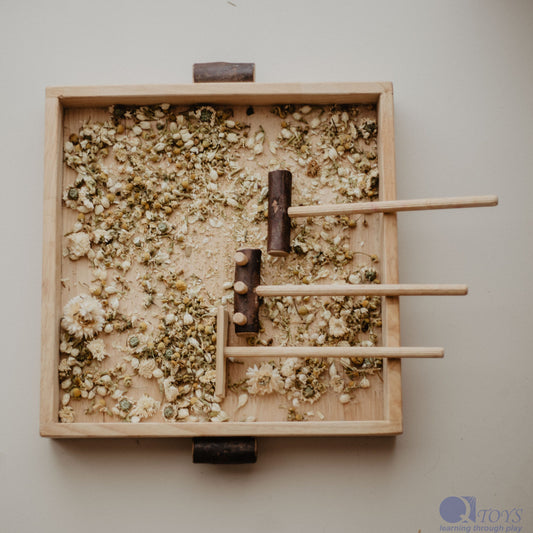 Naturalist's Sand Kit