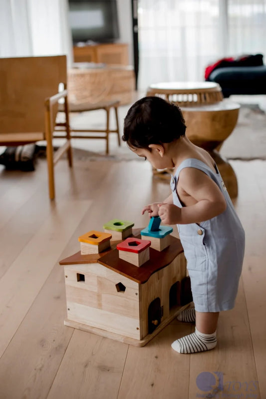 Architect’s Shape Sorting Cottage