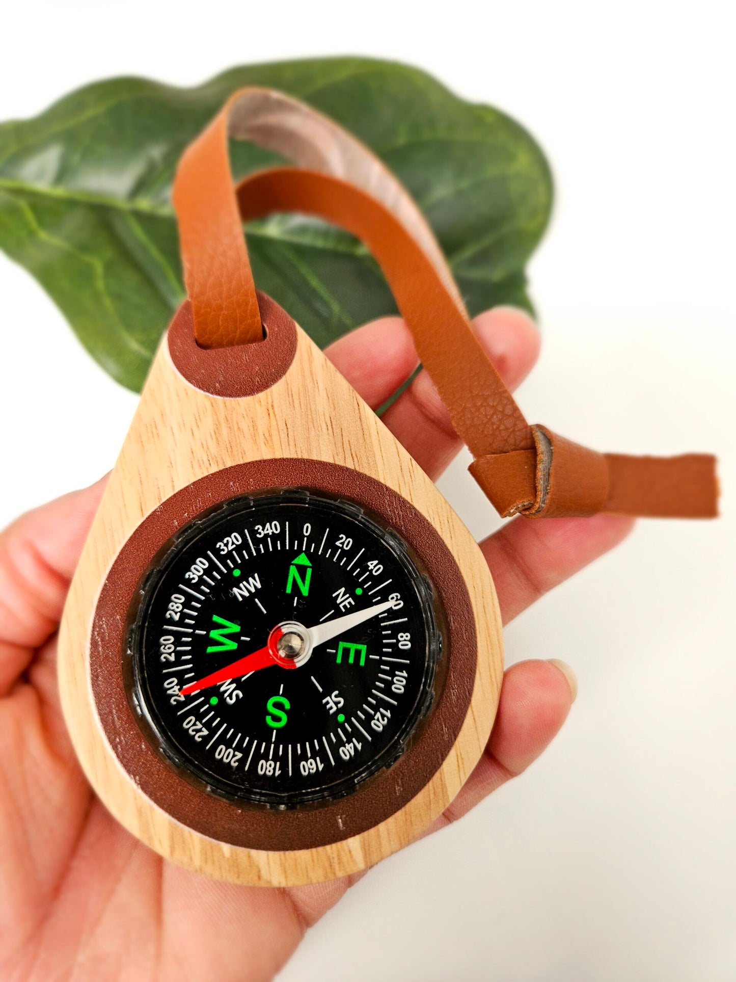 Explorer's Compass
