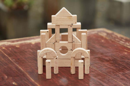 Architect's Bricks Building Kit
