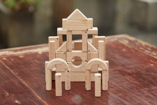 Architect's Bricks Building Kit