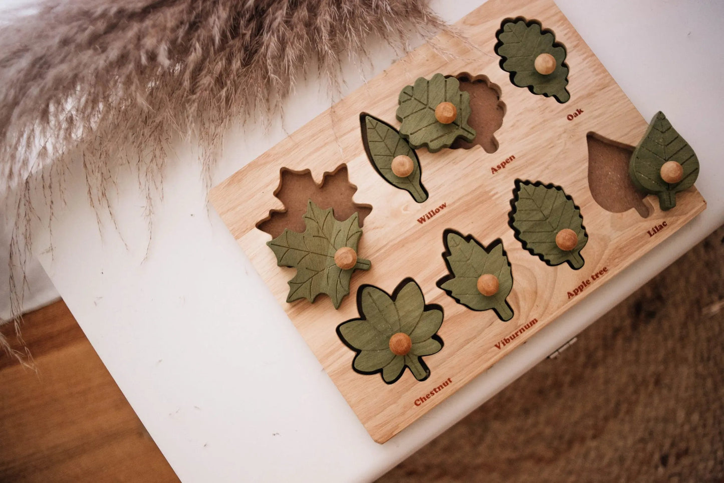 Naturalist's Leaf Puzzle